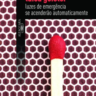 “Luzes de emergência se acenderão automaticamente”, de Luisa Geisler